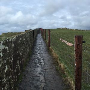 Meet your Posher, Adam